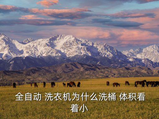 全自動洗衣機體積,全自動洗衣機功能介紹一下