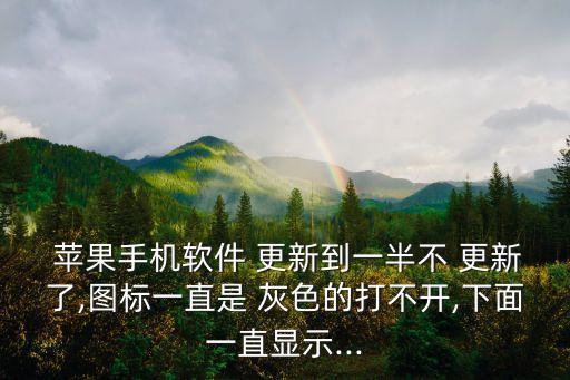 蘋果 自動(dòng)更新灰色的,第二步:設(shè)置好軟件后點(diǎn)擊進(jìn)入開始按鈕