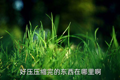  好壓壓縮完的東西在哪里啊