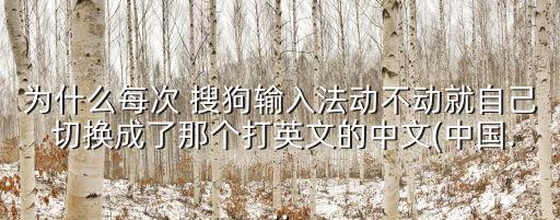為什么每次 搜狗輸入法動不動就自己 切換成了那個打英文的中文(中國...
