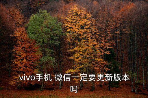 vivo微信自動(dòng)升級(jí),微信不更新版本對(duì)聊天功能沒(méi)有太大影響