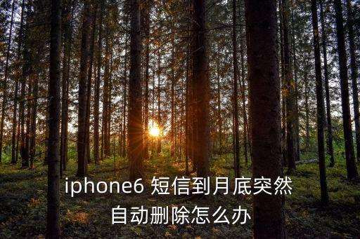  iphone6 短信到月底突然 自動刪除怎么辦