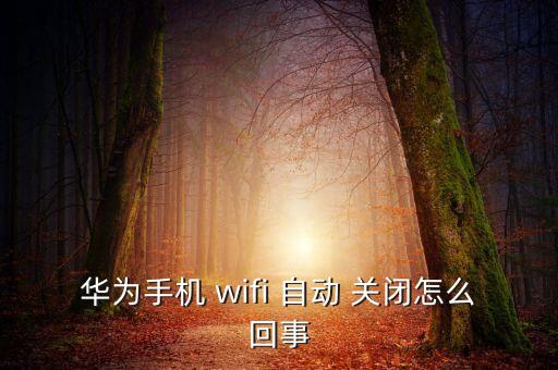 wifi休眠自動關閉,怎么連接wifi?!