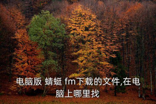 電腦版 蜻蜓 fm下載的文件,在電腦上哪里找