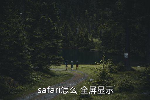 safari為什么自動退出全屏,第三方軟件全屏瀏覽器更習(xí)慣