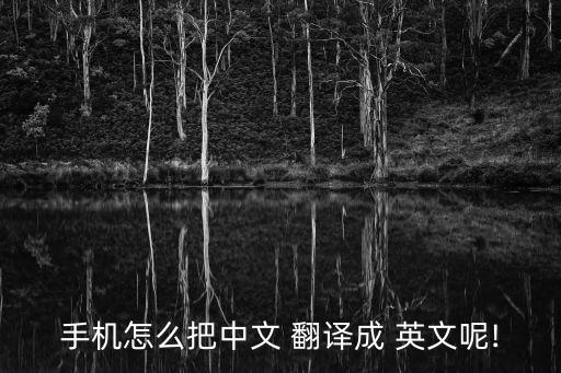 輸入法自動(dòng)翻譯成英文,點(diǎn)擊搜狗輸入法翻譯實(shí)現(xiàn)中英互譯