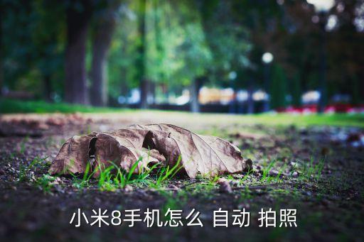 小米5s自動拍照嗎,小米5s上市是否承載過多商業(yè)目的?
