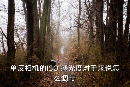 單反相機(jī)的ISO 感光度對(duì)于來(lái)說(shuō)怎么調(diào)節(jié)