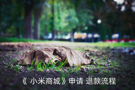 小米 自動(dòng)退款,小米商城app退款申請(qǐng)流程如何進(jìn)行?