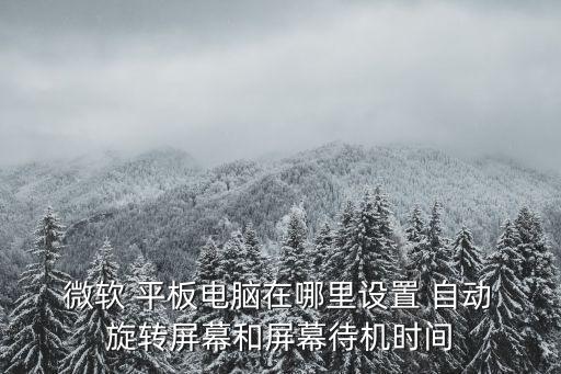 微軟平板啟用自動旋轉(zhuǎn),win8屏幕不能自動旋轉(zhuǎn)怎么辦?