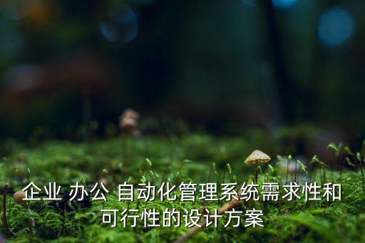 企業(yè) 辦公 自動化管理系統(tǒng)需求性和可行性的設(shè)計方案