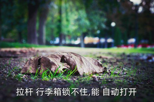 拉桿 行李箱鎖不住,能 自動打開