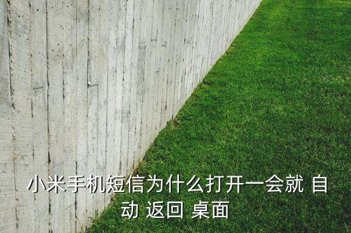  小米手機短信為什么打開一會就 自動 返回 桌面