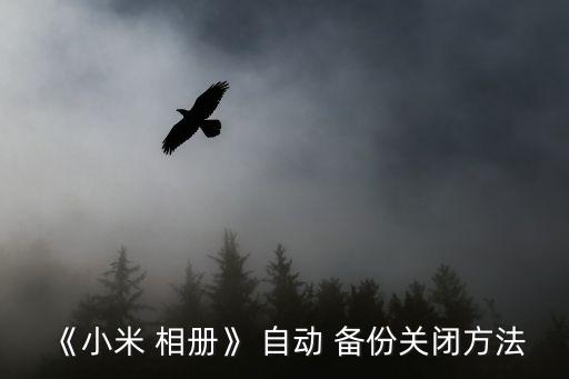 自動備份相冊,如何關(guān)閉小米相冊自動備份?