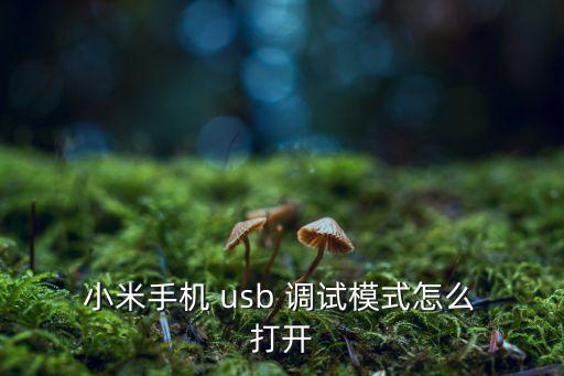  小米手機(jī) usb 調(diào)試模式怎么 打開