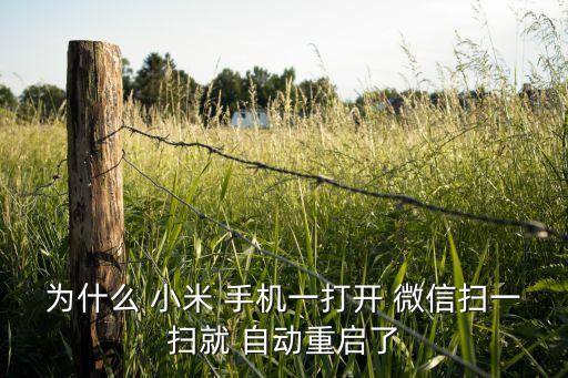 為什么 小米 手機(jī)一打開 微信掃一掃就 自動重啟了