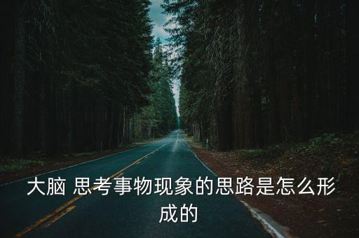  大腦 思考事物現(xiàn)象的思路是怎么形成的