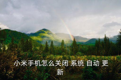  小米手機怎么關(guān)閉 系統(tǒng) 自動 更新