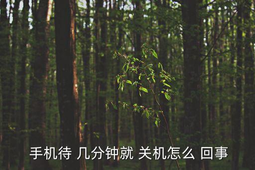 手機幾分鐘就自動關機怎么回事啊,手機莫名其妙關機怎么回事?