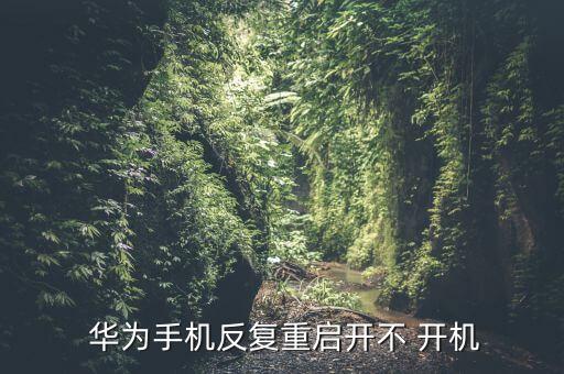  華為手機(jī)反復(fù)重啟開不 開機(jī)