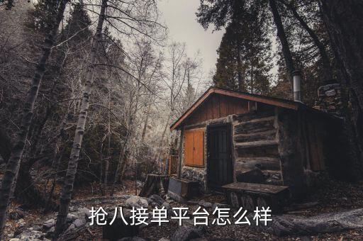 網(wǎng)上自動搶單,網(wǎng)上推出自動搶單服務(wù)提高搶單成功率
