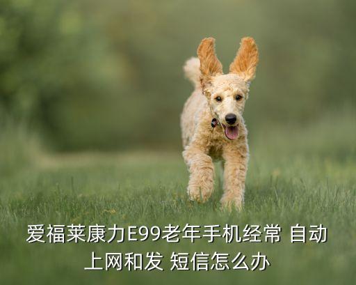 愛(ài)福萊康力E99老年手機(jī)經(jīng)常 自動(dòng)上網(wǎng)和發(fā) 短信怎么辦