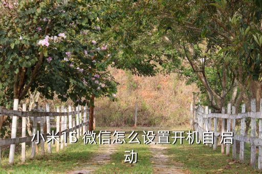 小米手機微信自動啟動,手機怎么辦?別慌!