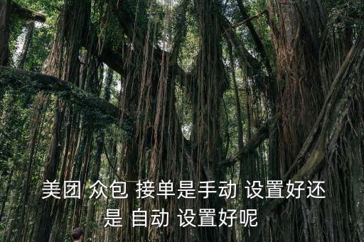  美團(tuán) 眾包 接單是手動 設(shè)置好還是 自動 設(shè)置好呢