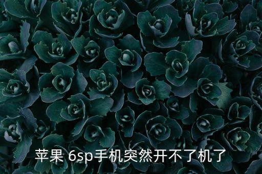 6sp自動(dòng)關(guān)機(jī)后開不了機(jī),手機(jī)無法開機(jī)怎么辦?