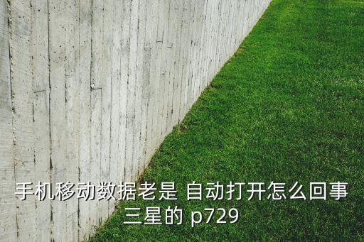 手機移動數(shù)據(jù)老是 自動打開怎么回事三星的 p729