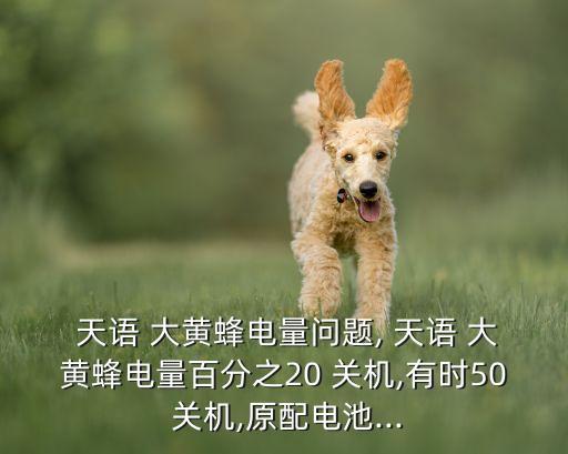 天語大黃鋒 自動關(guān)機,如果手機內(nèi)存占用過高會導(dǎo)致死機