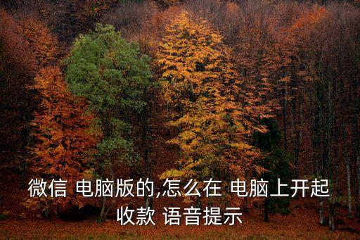 微信 電腦版的,怎么在 電腦上開(kāi)起收款 語(yǔ)音提示