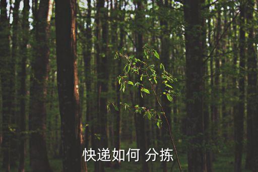 快遞如何 分揀