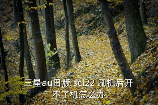 三星au日版 scl22 刷機后開不了機怎么辦