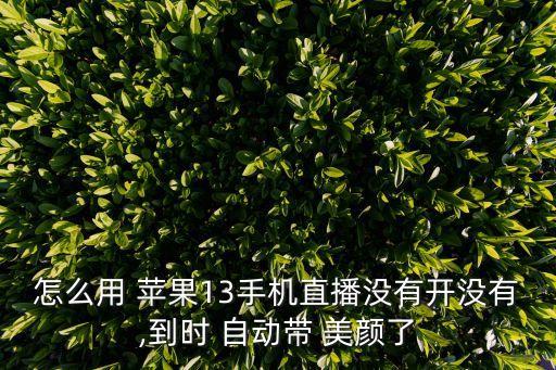 蘋果攝像頭自動(dòng)美顏嗎,蘋果13增加自拍美顏1功能