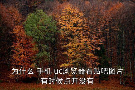 手機(jī)uc貼吧圖片自動顯示,關(guān)閉貼吧查看顯示貼圖是否有進(jìn)展?