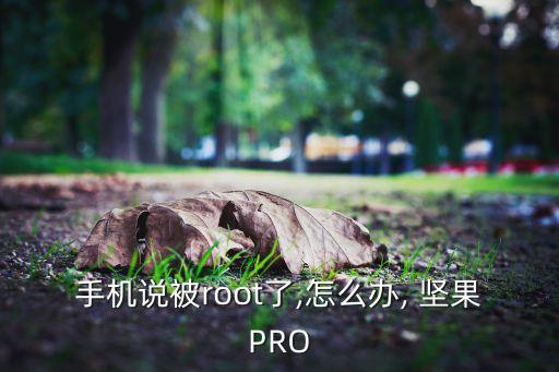手機(jī)說(shuō)被root了,怎么辦, 堅(jiān)果PRO
