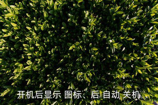 開機(jī)后顯示 圖標(biāo)、后 自動(dòng) 關(guān)機(jī)