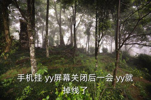 手機掛 yy屏幕關(guān)閉后一會 yy就掉線了
