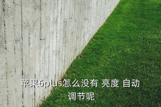 蘋果6plus怎么沒有 亮度 自動 調節(jié)呢