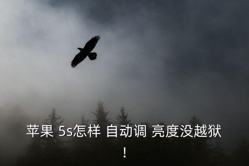 蘋果 5s怎樣 自動(dòng)調(diào) 亮度沒(méi)越獄!