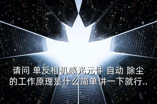 請問 單反相機感光元件 自動 除塵的工作原理是什么簡單講一下就行...