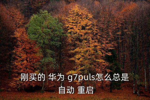 剛買(mǎi)的 華為 g7puls怎么總是 自動(dòng) 重啟