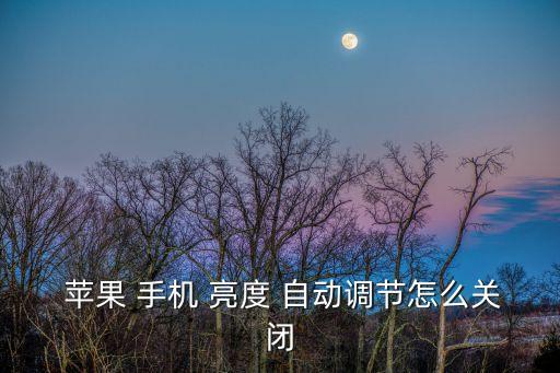  蘋果 手機(jī) 亮度 自動(dòng)調(diào)節(jié)怎么關(guān)閉