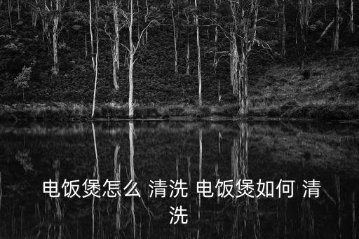 電飯煲怎么 清洗 電飯煲如何 清洗