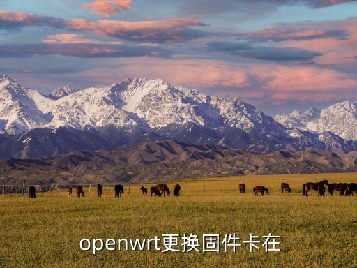 openwrt 自動(dòng)切換,本地新增13起病例全由境外輸入
