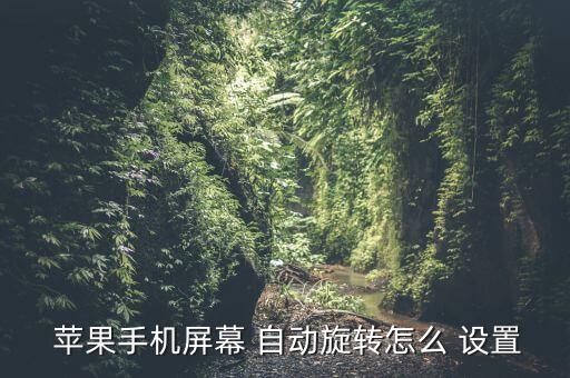  蘋果手機屏幕 自動旋轉(zhuǎn)怎么 設(shè)置
