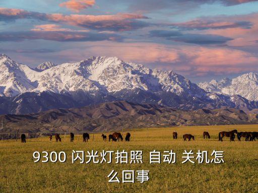 9300 閃光燈拍照 自動 關(guān)機怎么回事