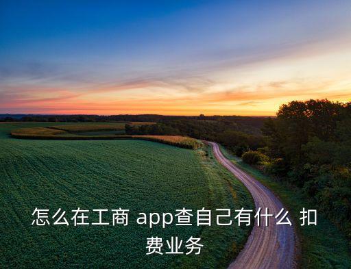 怎么在工商 app查自己有什么 扣費業(yè)務(wù)