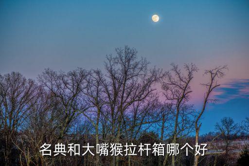 自動走行李箱價格,24寸行李箱怎么樣買?